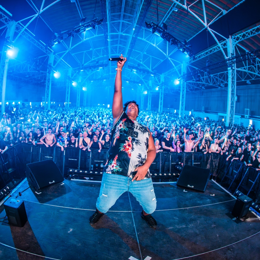 angerfist